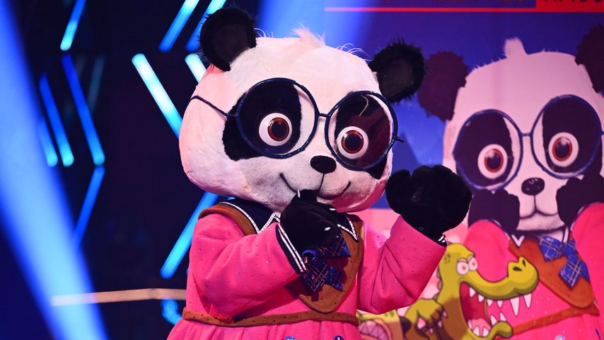 Der Panda bei "The Masked Singer"