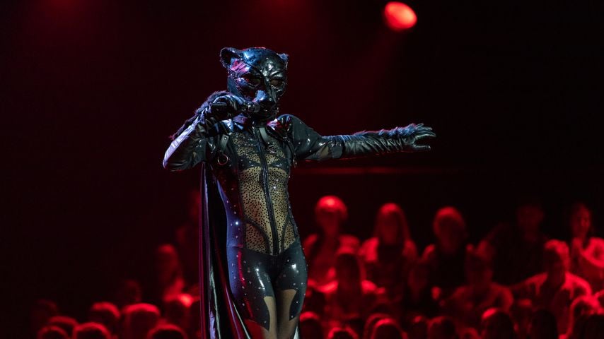 Der Panther von "The Masked Singer"