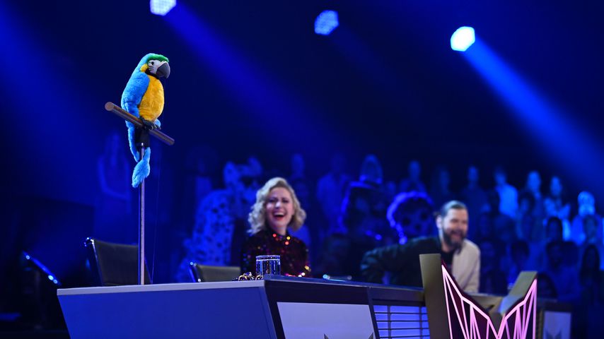 Der Papagei bei "The Masked Singer"