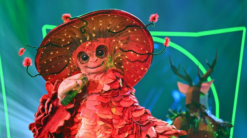 Der Pilz bei "The Masked Singer" 2023