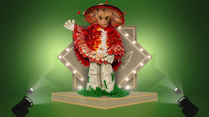 Niedlichkeitsfaktor: Das ist der "The Masked Singer"-Pilz