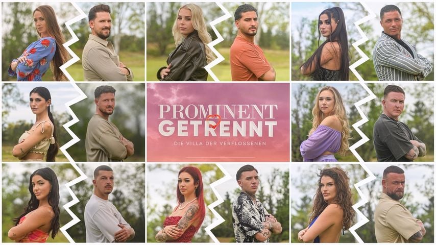 "Prominent getrennt" und Co.: Diese Reality-Formate boomen