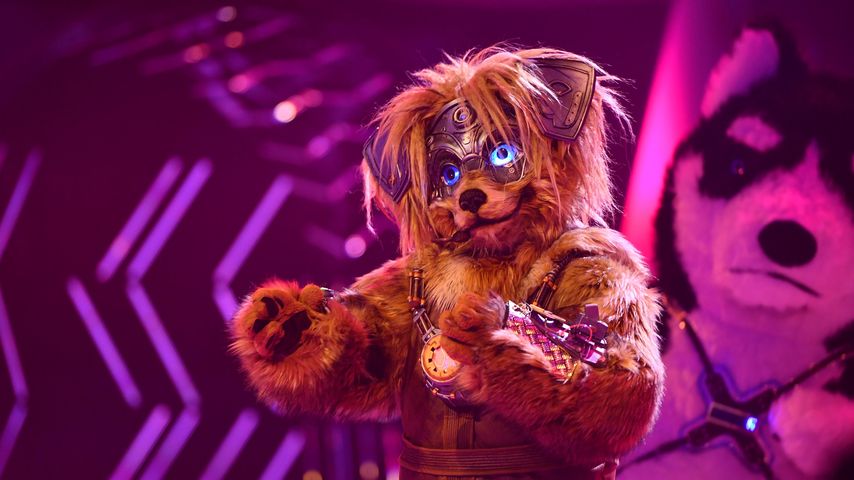 Der Robodog bei "The Masked Singer"