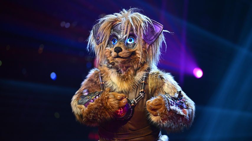 Der Robodog bei "The Masked Singer"