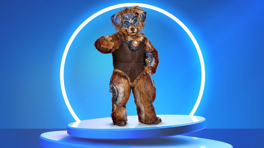 Cooler Robodog? Das ist die nächste "Masked Singer"-Maske