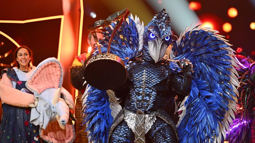 Der Schuhschnabel, "The Masked Singer"-Sieger