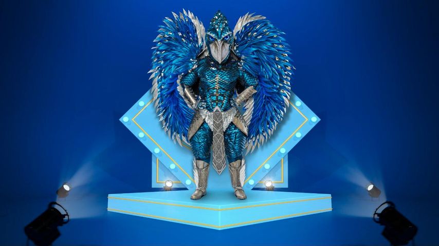 Der Schuhschnabel von "The Masked Singer Germany"