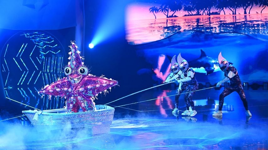 Auch dieser Promi wurde bei "The Masked Singer" enttarnt