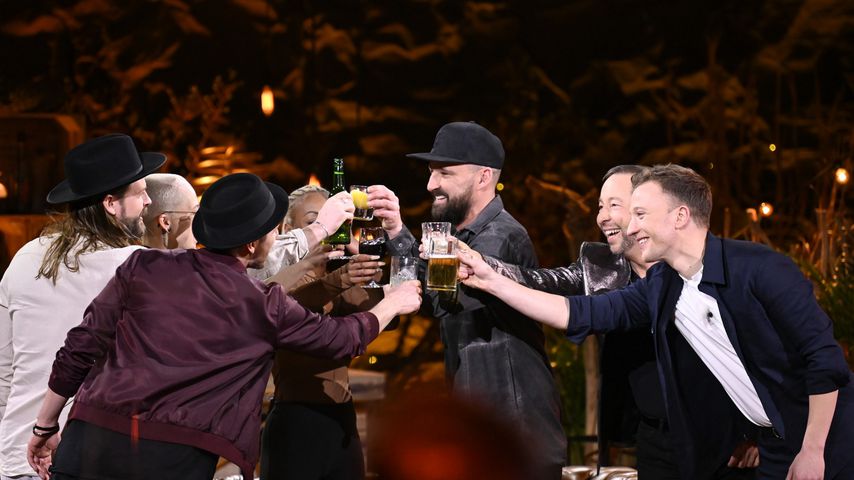 Der "Sing meinen Song"-Cast 2021