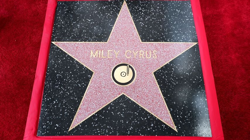 Hollywood: Diese Stars holen sich 2027 Walk-of-Fame-Stern
