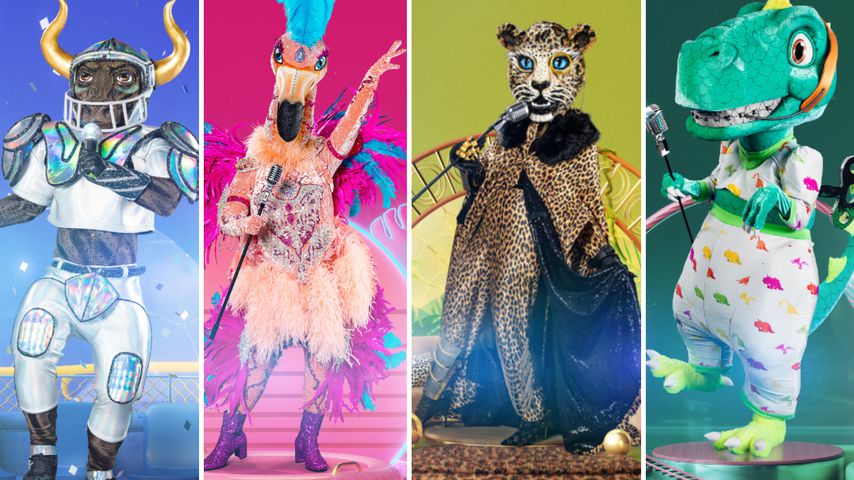 Alle Masken raus: Wer ist euer "The Masked Singer"-Liebling?