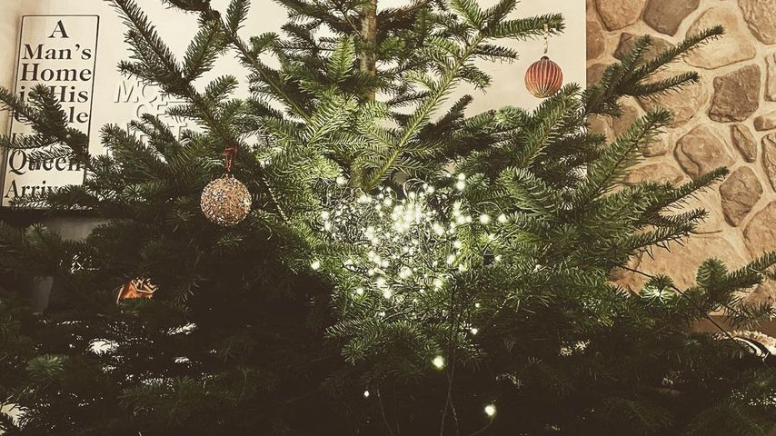 Der Tannenbaum der Carpendales