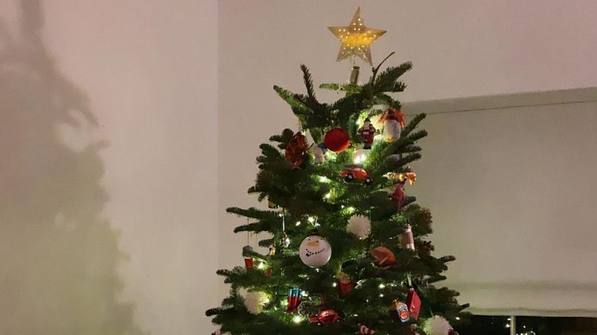 Der Tannenbaum von Justin und Hailey Bieber, 2019