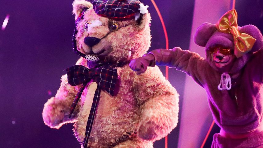 Der Teddy bei "The Masked Singer"