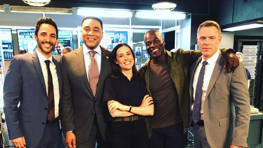 Der "The Blacklist"-Cast
