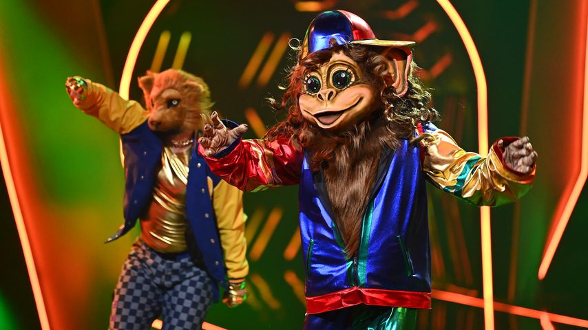 Der Affe bei "The Masked Dancer"