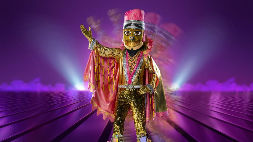 Der "The Masked Dancer"-Buntstift