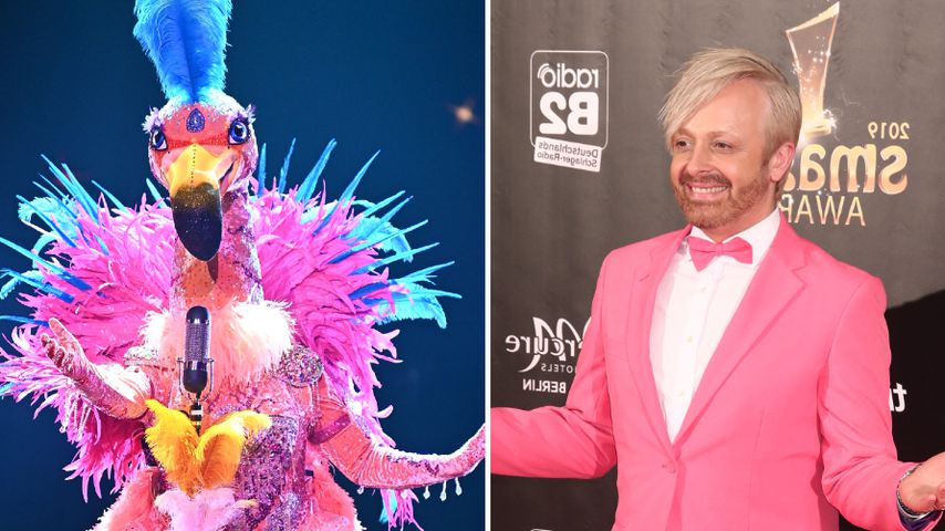 "The Masked Singer": Passen die Flamingo-Indizien zu Ross?