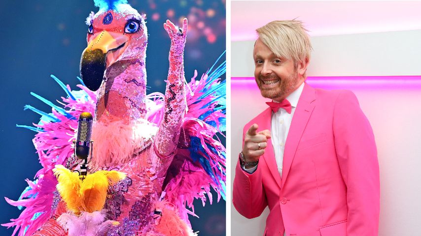 Fans überzeugt: "The Masked Singer"-Flamingo ist Ross Antony