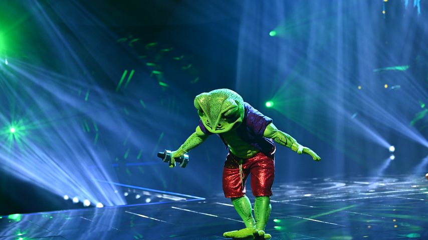 Der "The Masked Singer"-Frosch