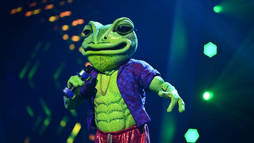Der "The Masked Singer"-Frosch