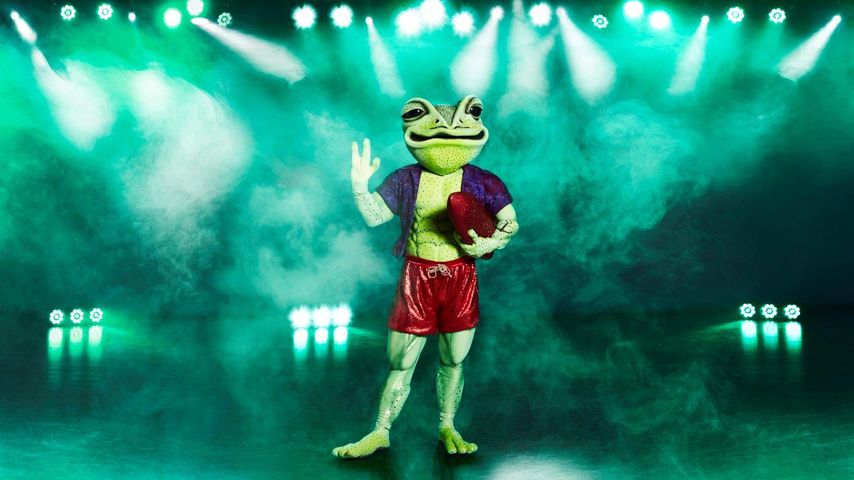Der "The Masked Singer"-Frosch