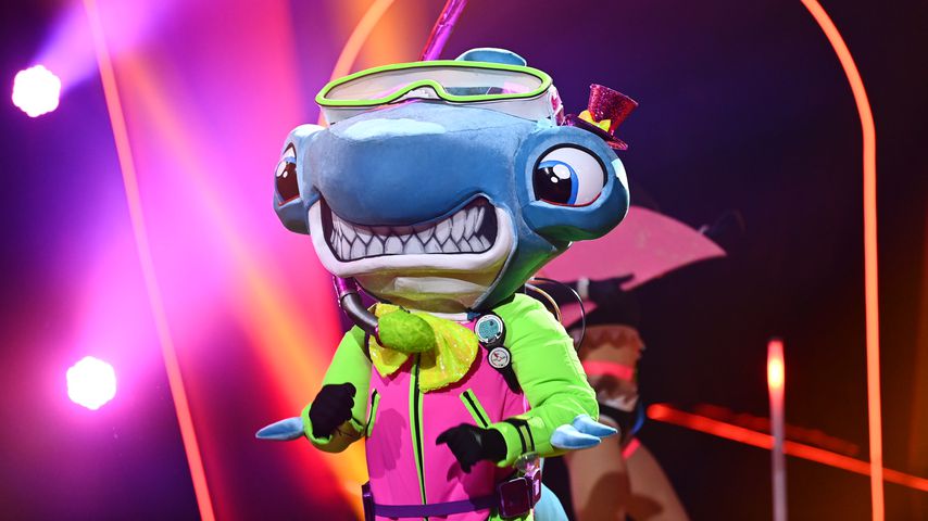 Der "The Masked Singer"-Hammerhai