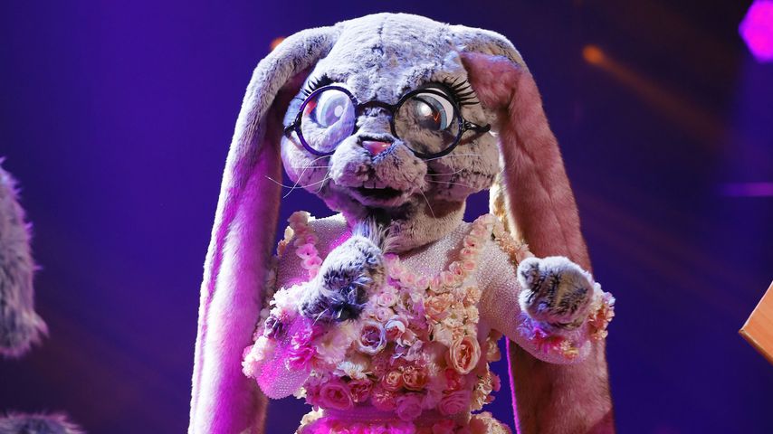Der "The Masked Singer"-Hase