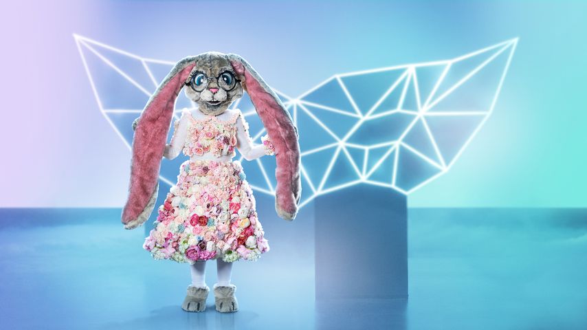 Der "The Masked Singer"-Hase