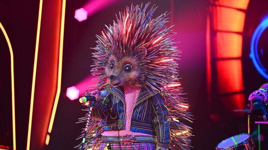 Der "The Masked Singer"-Igel 2023