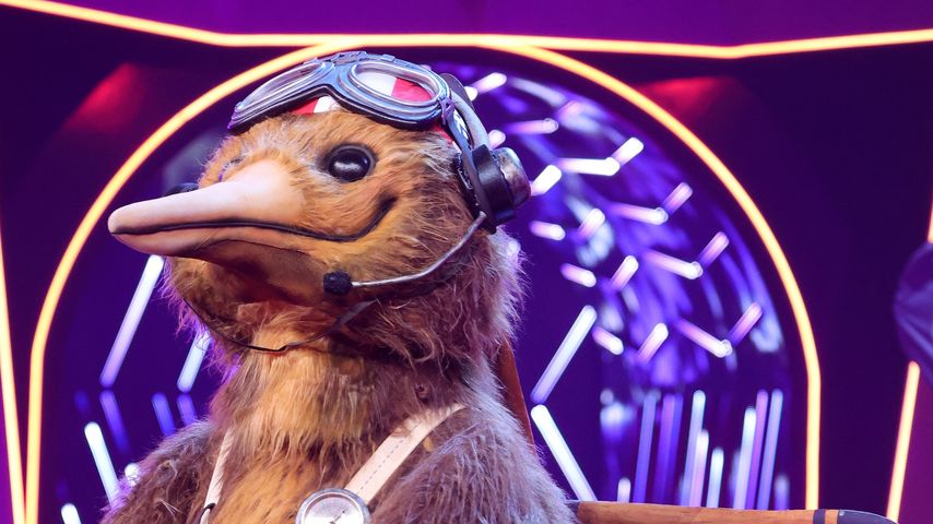 Der "The Masked Singer"-Kiwi
