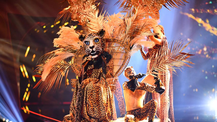 Der "The Masked Singer"-Leopard