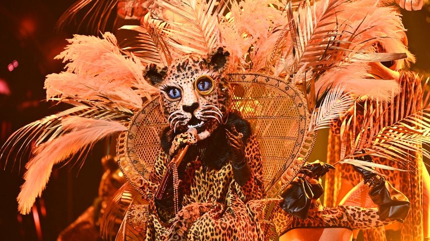 Hier gibt es alle Indizien zum "The Masked Singer"-Leoparden