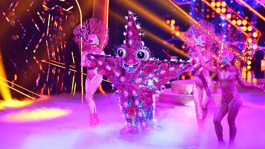 Ups! Fetter Text-Aussetzer beim "The Masked Singer"-Seestern