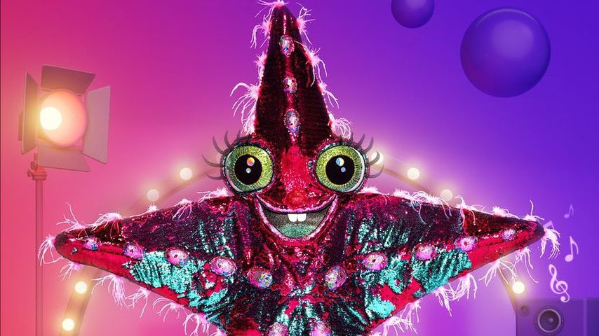 Der "The Masked Singer"-Seestern