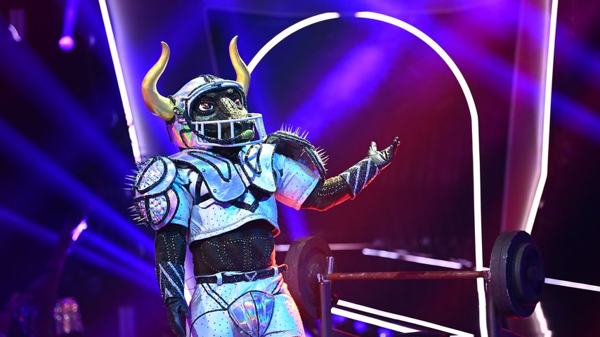 Der "The Masked Singer"-Stier