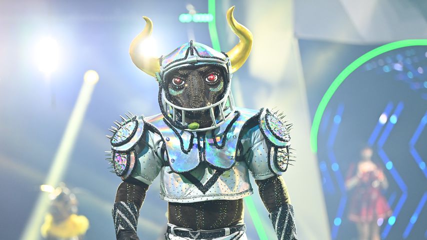 Der "The Masked Singer"-Stier