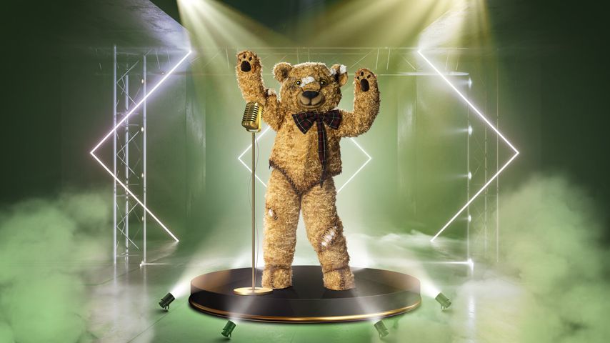 Der "The Masked Singer"-Teddy