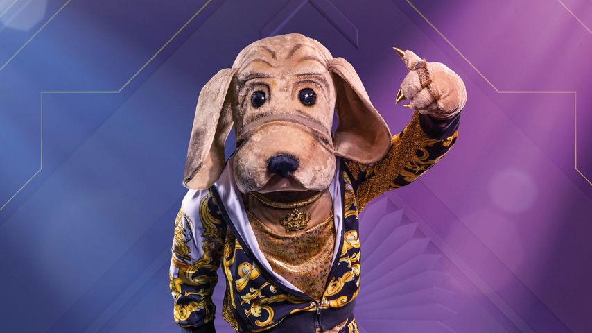 Wackeldackel von "The Masked Singer Austria"