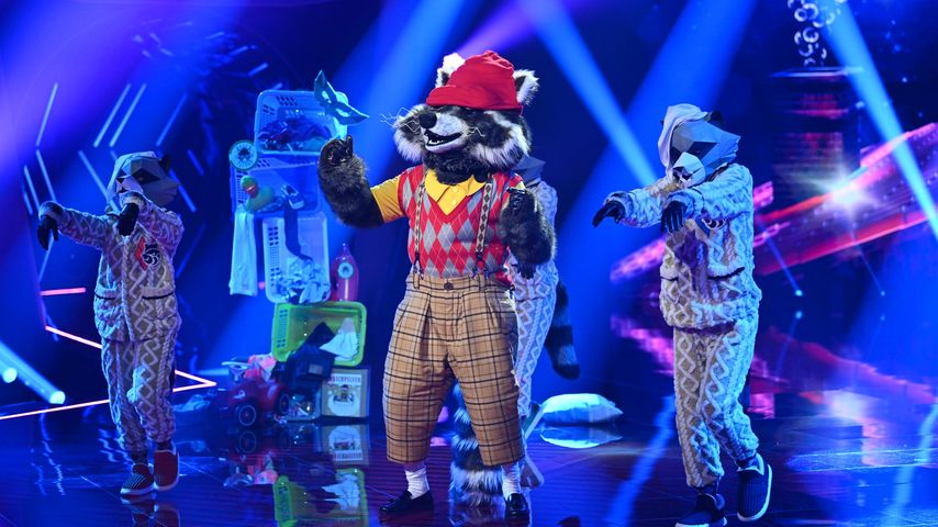 Der Waschbär bei "The Masked Singer"