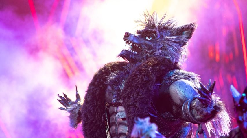 Der Werwolf bei "The Masked Singer"