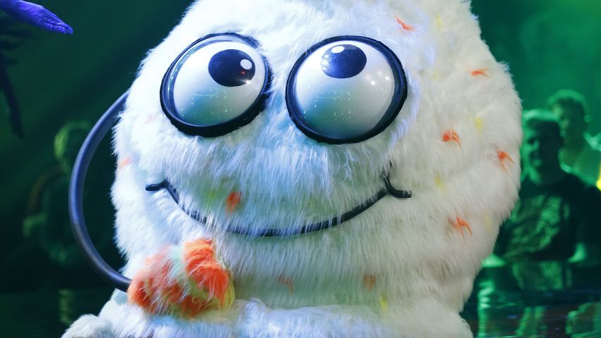 Der Wuschel bei "The Masked Singer"
