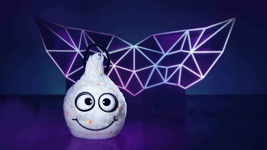 Der Wuschel bei "The Masked Singer"