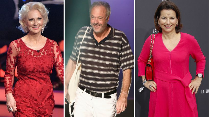 Endlich komplett: Die letzten "Promis unter Palmen"-Stars