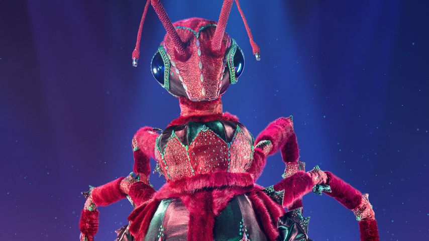 Die Ameise bei "The Masked Singer Switzerland"