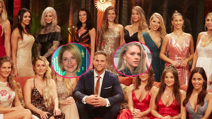 Fame-geile Bachelor-Girls: Ex-Kandidatinnen sind entsetzt!