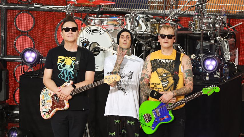 Die Jungs von Blink-182