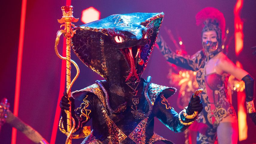Die Black Mamba bei "The Masked Singer"