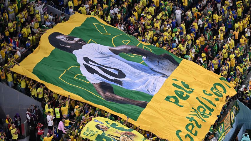 Die brasilianischen Fans bei der Fußball-WM 2022