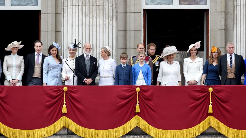 Royales Familienmitglied nimmt König Charles & Co. in Schutz
